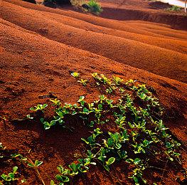 策略角色扮演游戏《骸骷王》Steam页面 发行日期待定